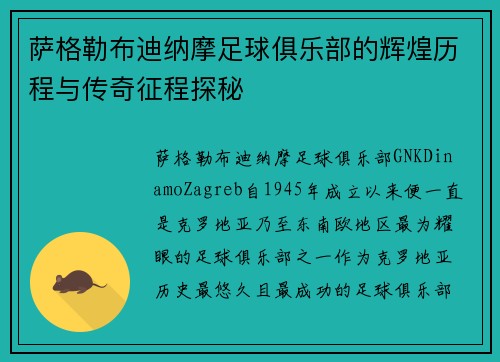 萨格勒布迪纳摩足球俱乐部的辉煌历程与传奇征程探秘